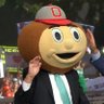Woody 的头像