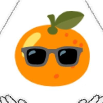 🕶️🍊's profile picture