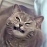 Profilbild von 𝐩𝐫𝐨𝐟