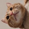 Profilbild von betac0re