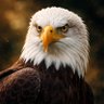 Ade 0nchain profil fotoğrafı