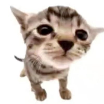 윤야's profile picture