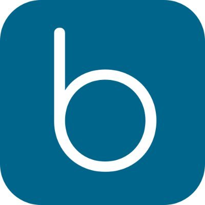 biblingoapp's profile picture