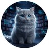 Bo | AI × Leverage's profile picture