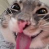 Nextonic's profile picture