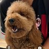 Oskar 的头像