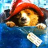 Фото профиля Paddington Bear 🐻