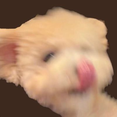 ç¬ãèŠãŠâ's profile picture
