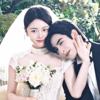 dailylinxi's profile picture