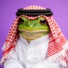 🐸's profile picture