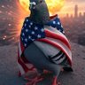 Homingpigeons profil fotoğrafı