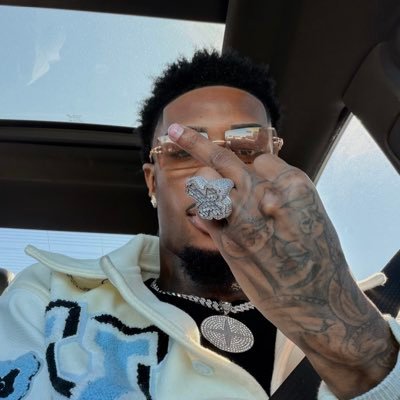 Antglizoo's profile picture