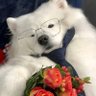 waitaS's profile picture