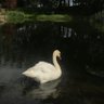 Alanoud profil fotoğrafı