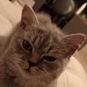 Naklov profil fotoğrafı