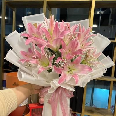 Bloomify's profile picture