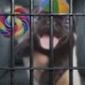 Imprisoned Kade Blake 的头像