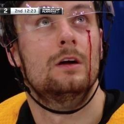 _bergeron's profile picture