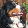 Café_Café's profile picture