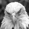 Profilbild von MimiB