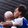 gustavo cec🦊's profile picture