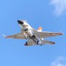 F.KAMIYA profil fotoğrafı