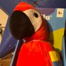 D ๐ฆ๐'s profile picture