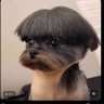Gary Littlefield's profile picture
