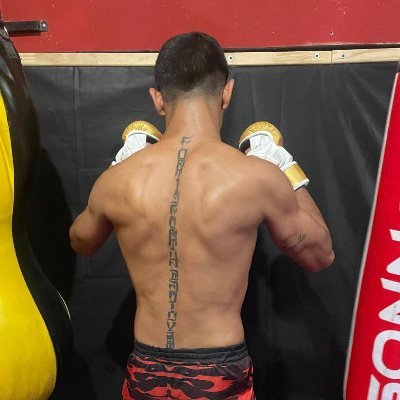 boxeadorarg's profile picture