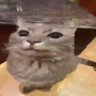elmacho411's profile picture