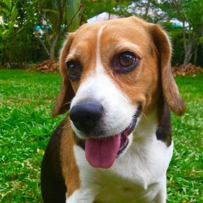 CuscoB222's profile picture