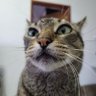 Фото профиля melatonina minha vida