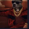 Tttt's profile picture