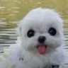tlmm3r's profile picture