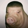 John Pork profil fotoğrafı