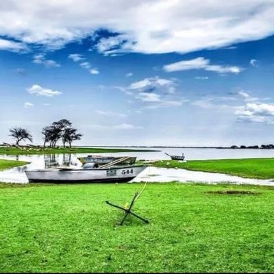 AL_Radabi's profile picture