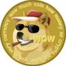 Фото профиля DOGE教父