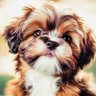Profilbild von Malcolm