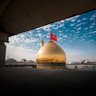 Alireza Hassan's profile picture