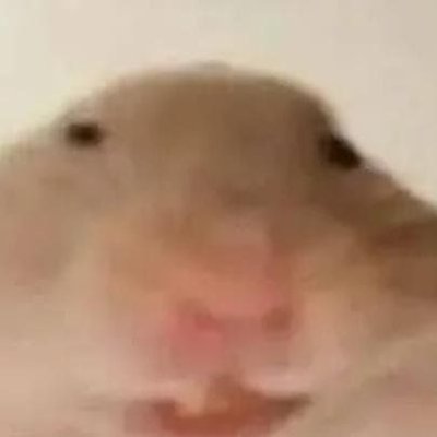 qianshi2oo's profile picture