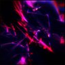 Фото профиля ReappearingData