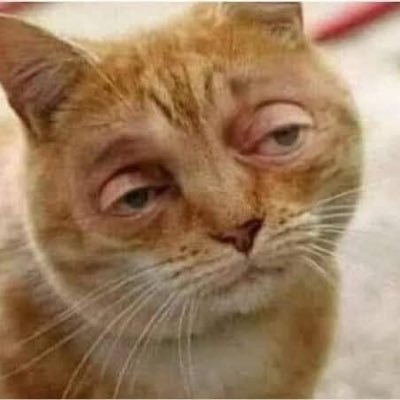 ti_bebx's profile picture