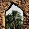 Фото профиля مُزدانه
