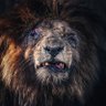 Profilbild von khan_z