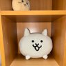 むらくも【MuRaKumo】's profile picture
