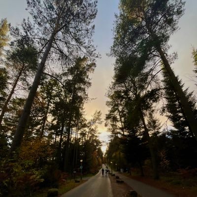 KLZ1906's profile picture