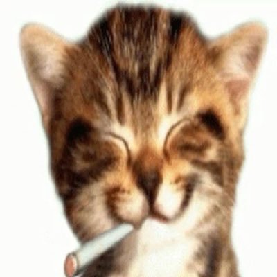 222xen's profile picture