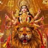 Mithila Prasad's profile picture
