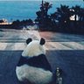 Profilbild von Pandaların Sekssizliği