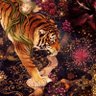 Profilbild von ꕤ。𖦹° $𝑰𝑹𝑬𝑵𝑿 。𖦹🐅